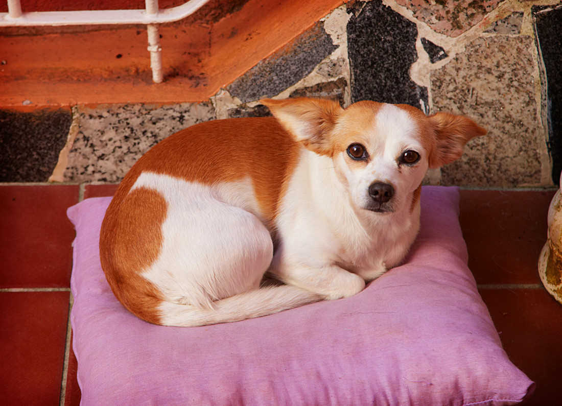 11-fotografo-pontevedra