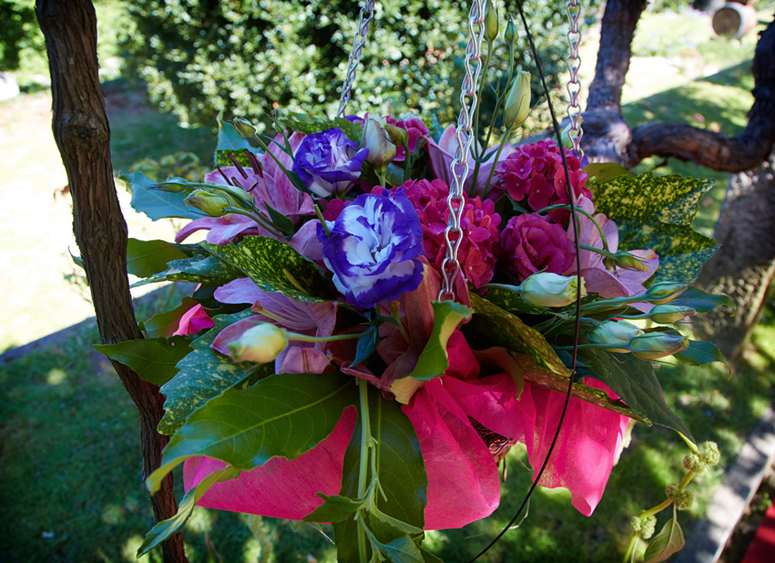 27-fotografo-savatierra